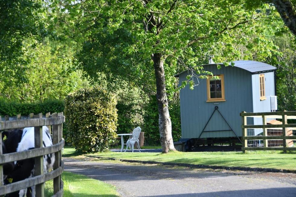The Shepherds Hut Carmarthen Exterior foto